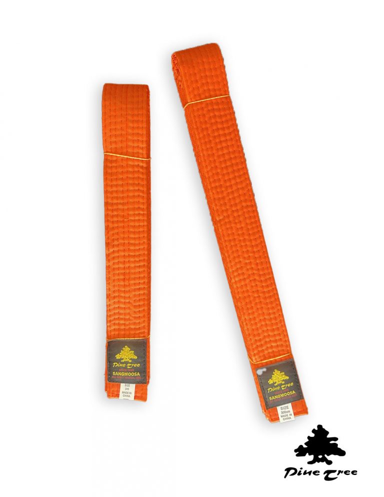 DanRho Ceinture Budo 100% Coton – Largeur 4cm – Longueurs De 160 à 350 Cm – Pour Judo, Karaté, Taekwondo, JJB – Couleurs Unies DanRho Ceinture Budo 100% Coton – Largeur 4cm – Longueurs De 160 à 350 Cm – Pour Judo, Karaté, Taekwondo, JJB – Couleurs Unies